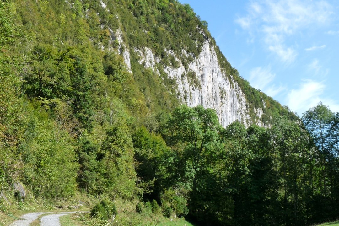 Main approach path to Suberpène before forest
