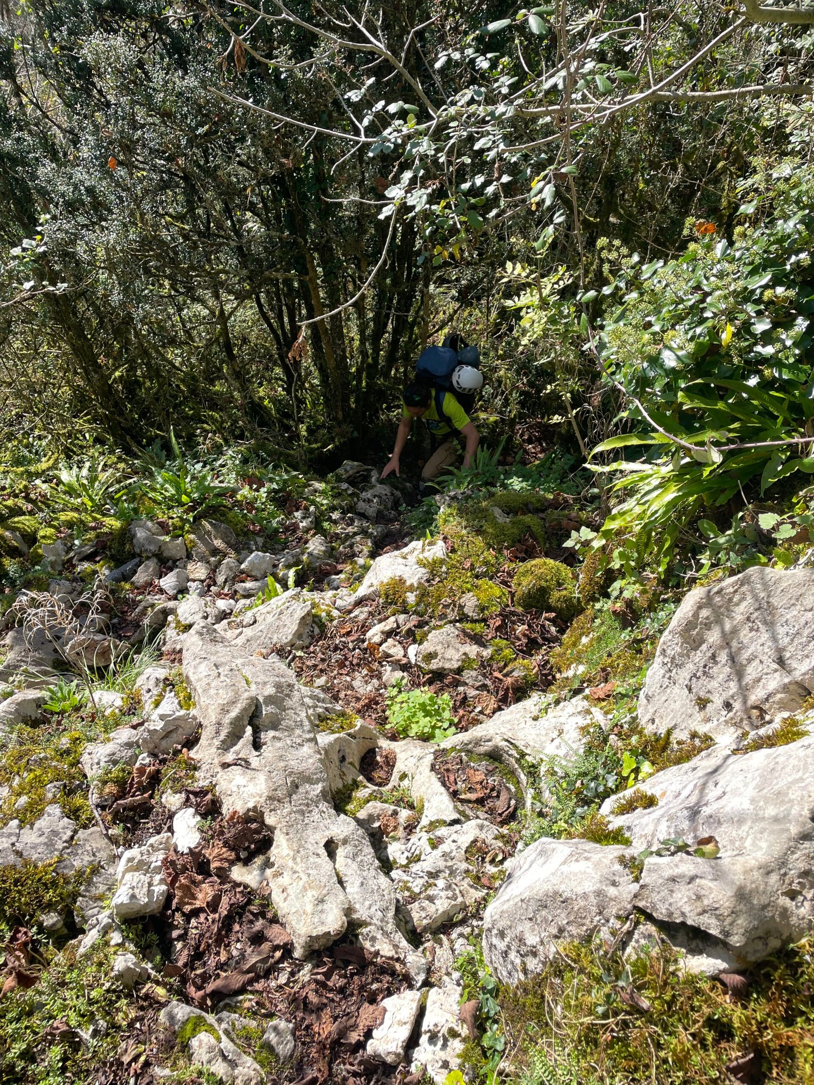 Approach path to Suberpène through forest