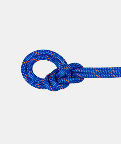 Mammut Knot