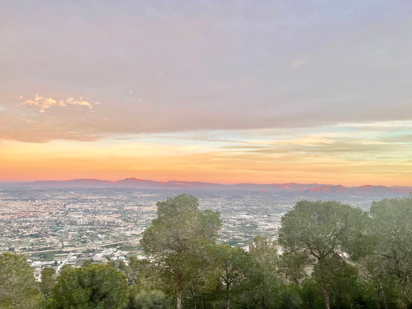 Panocha “Climbing picture class=