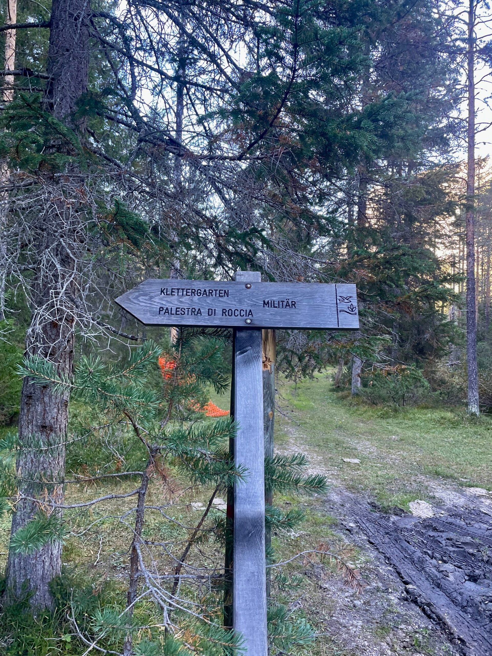 Wooden sign with arrow pointing to Militärklettergarten on the approach path, Val di Landro